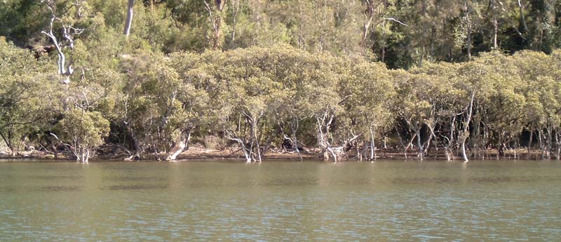 View across the river