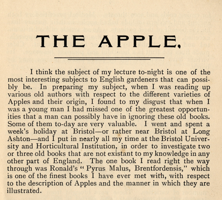 apple-opening.jpg