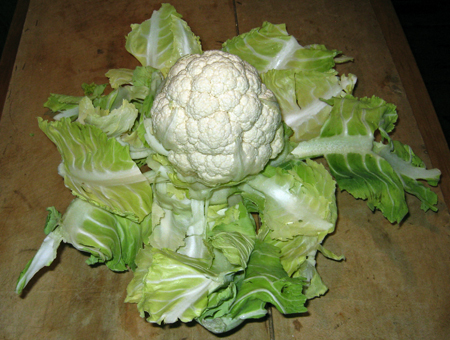 cauliflower.jpg