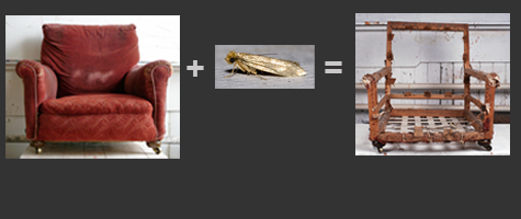 moth-equation.jpg