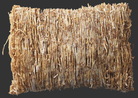 shredded-wheat.jpg