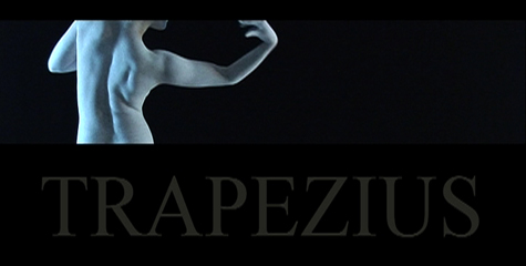 trapezius.jpg